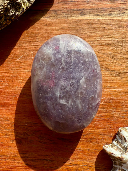 UNICORN STONE PALM STONE