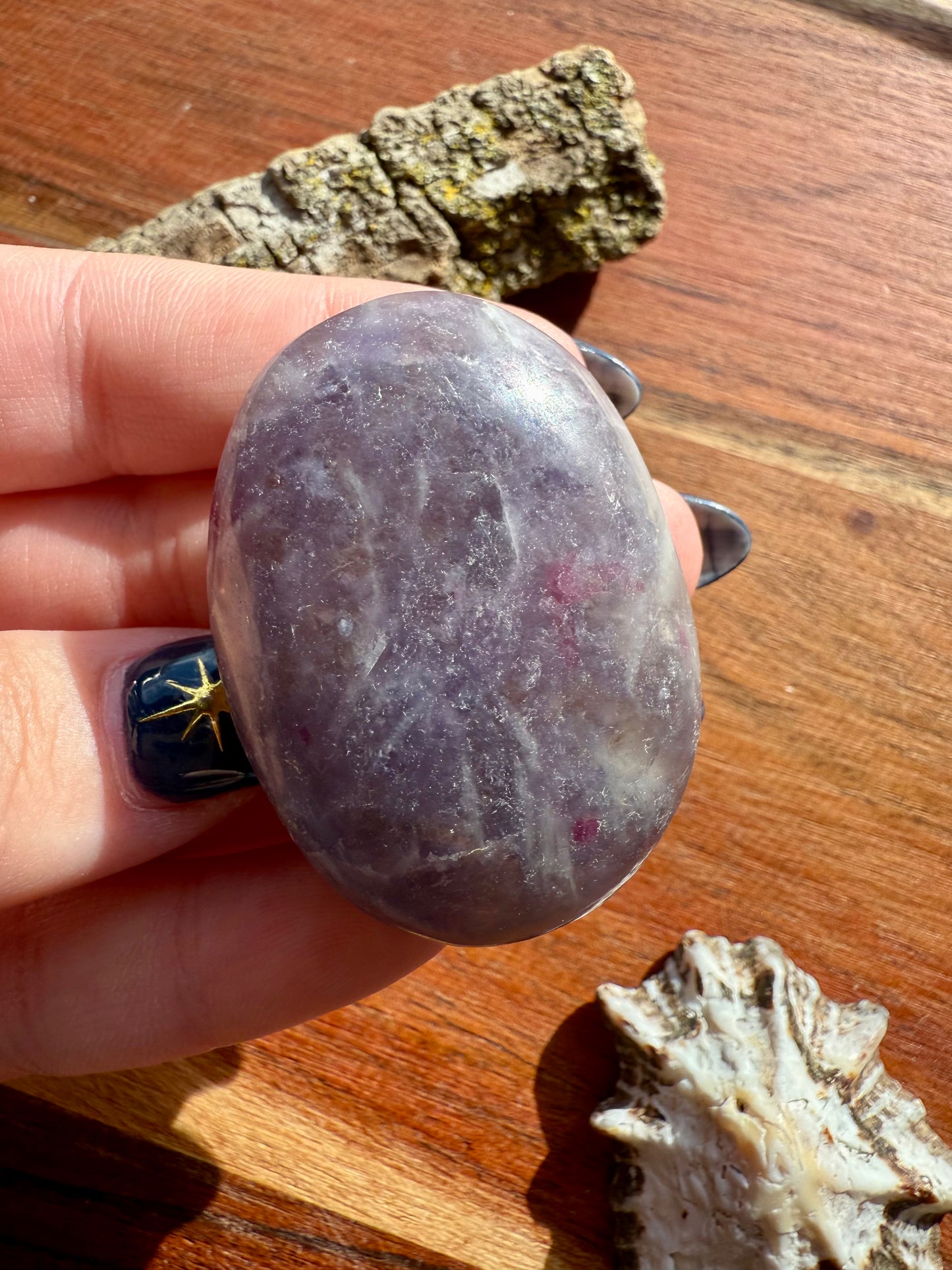 UNICORN STONE PALM STONE