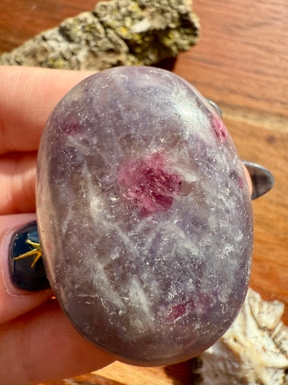 UNICORN STONE PALM STONE