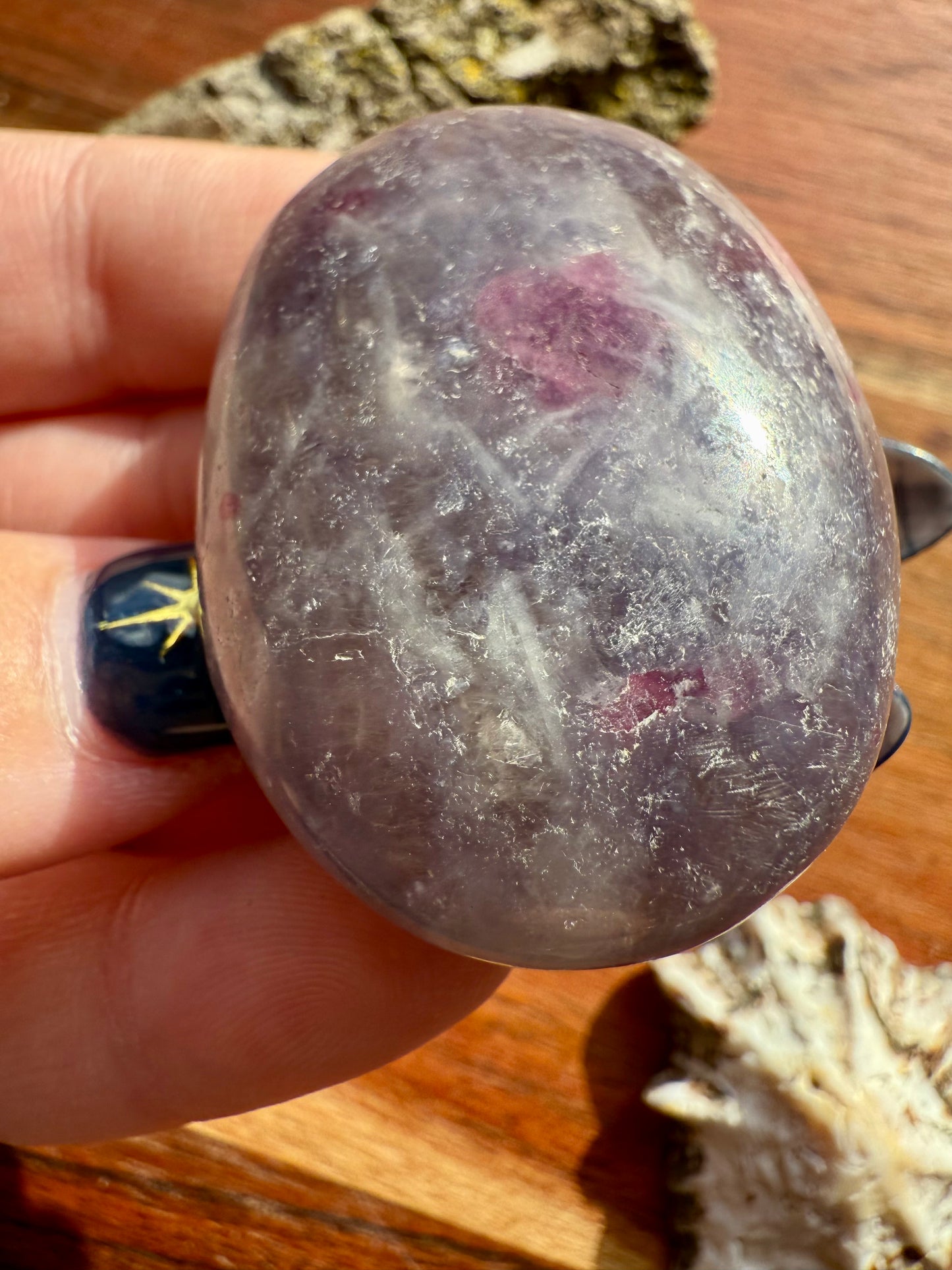 UNICORN STONE PALM STONE