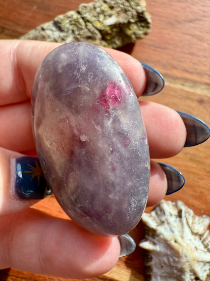 UNICORN STONE PALM STONE