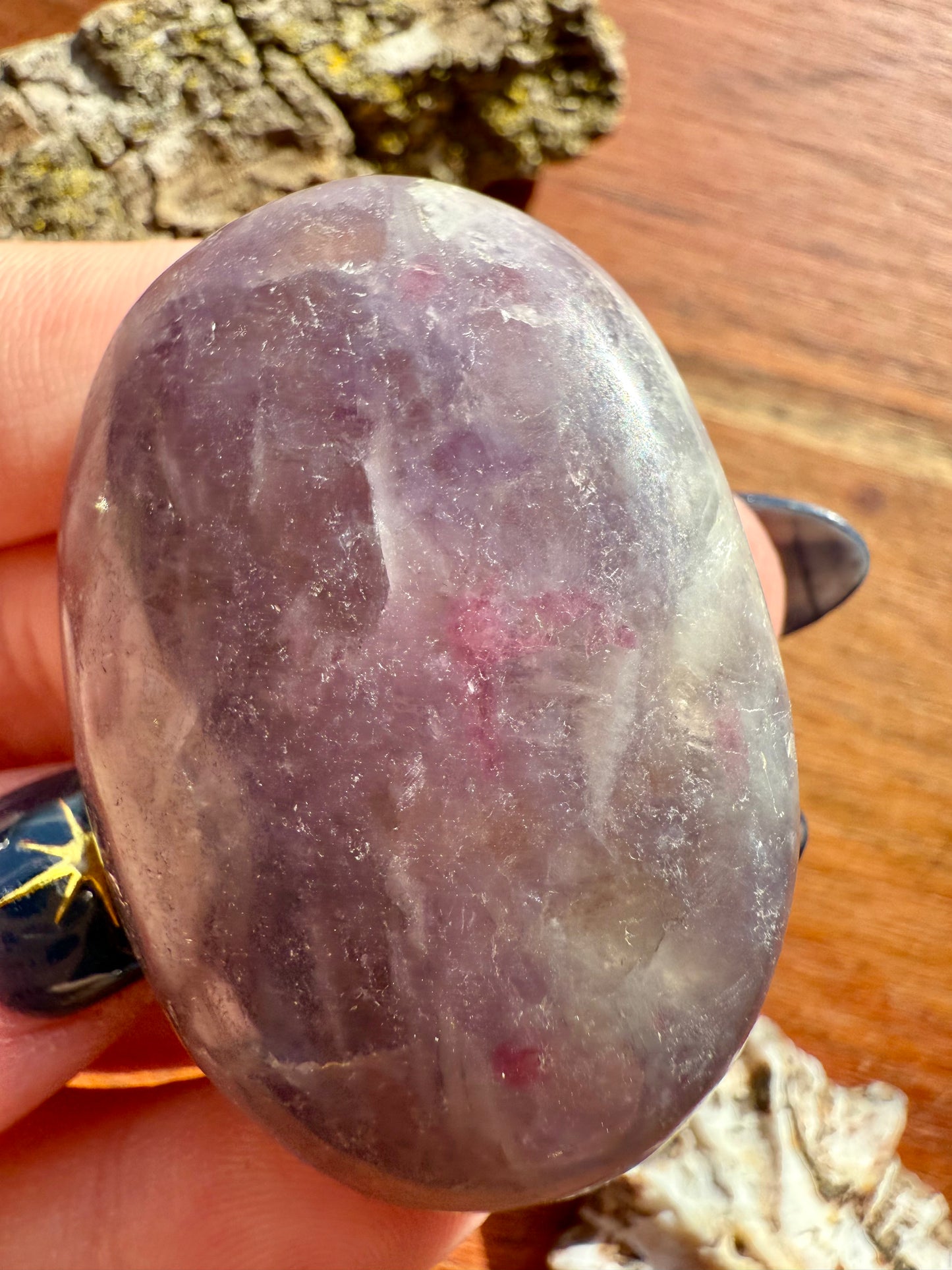 UNICORN STONE PALM STONE