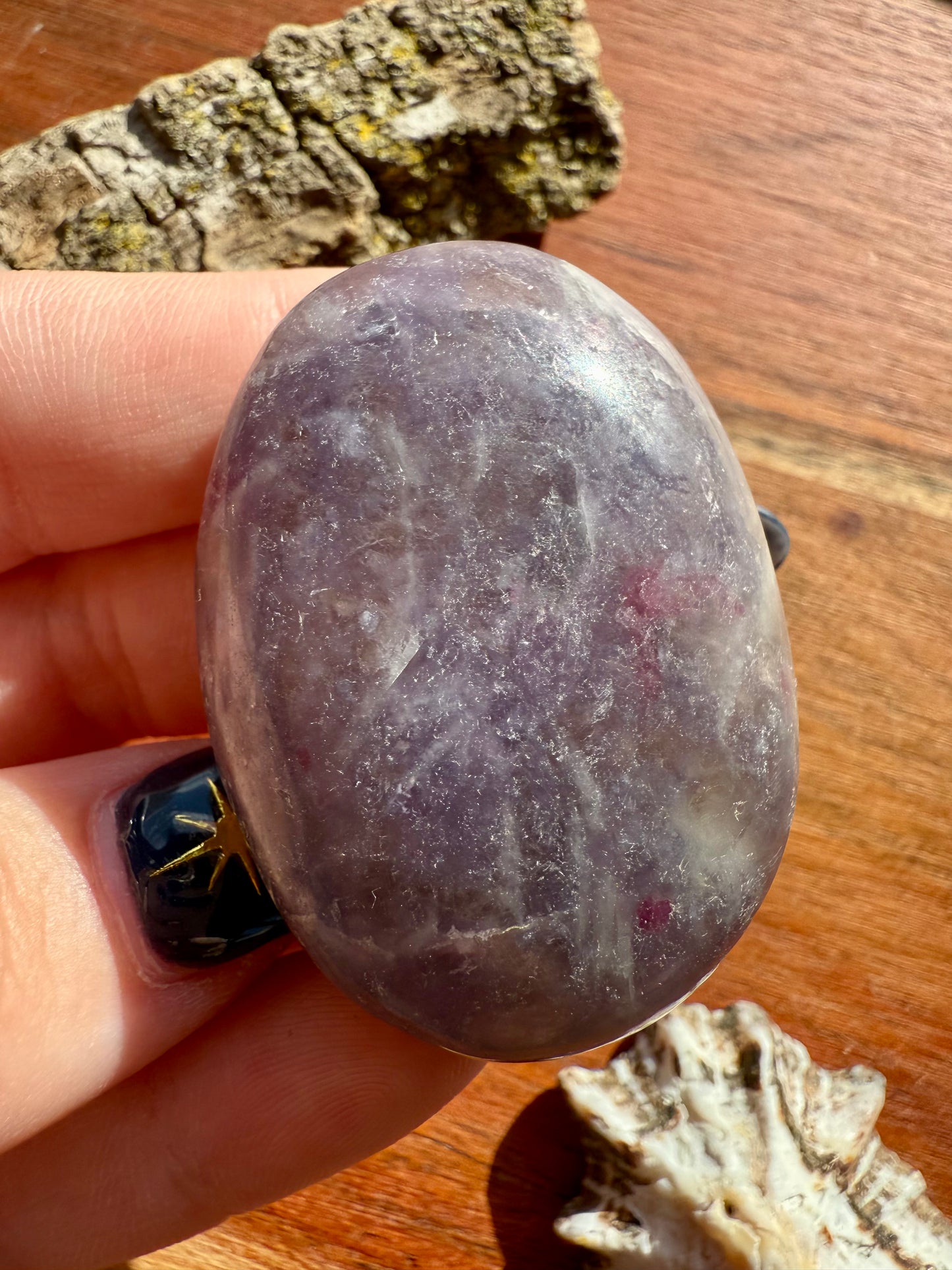 UNICORN STONE PALM STONE