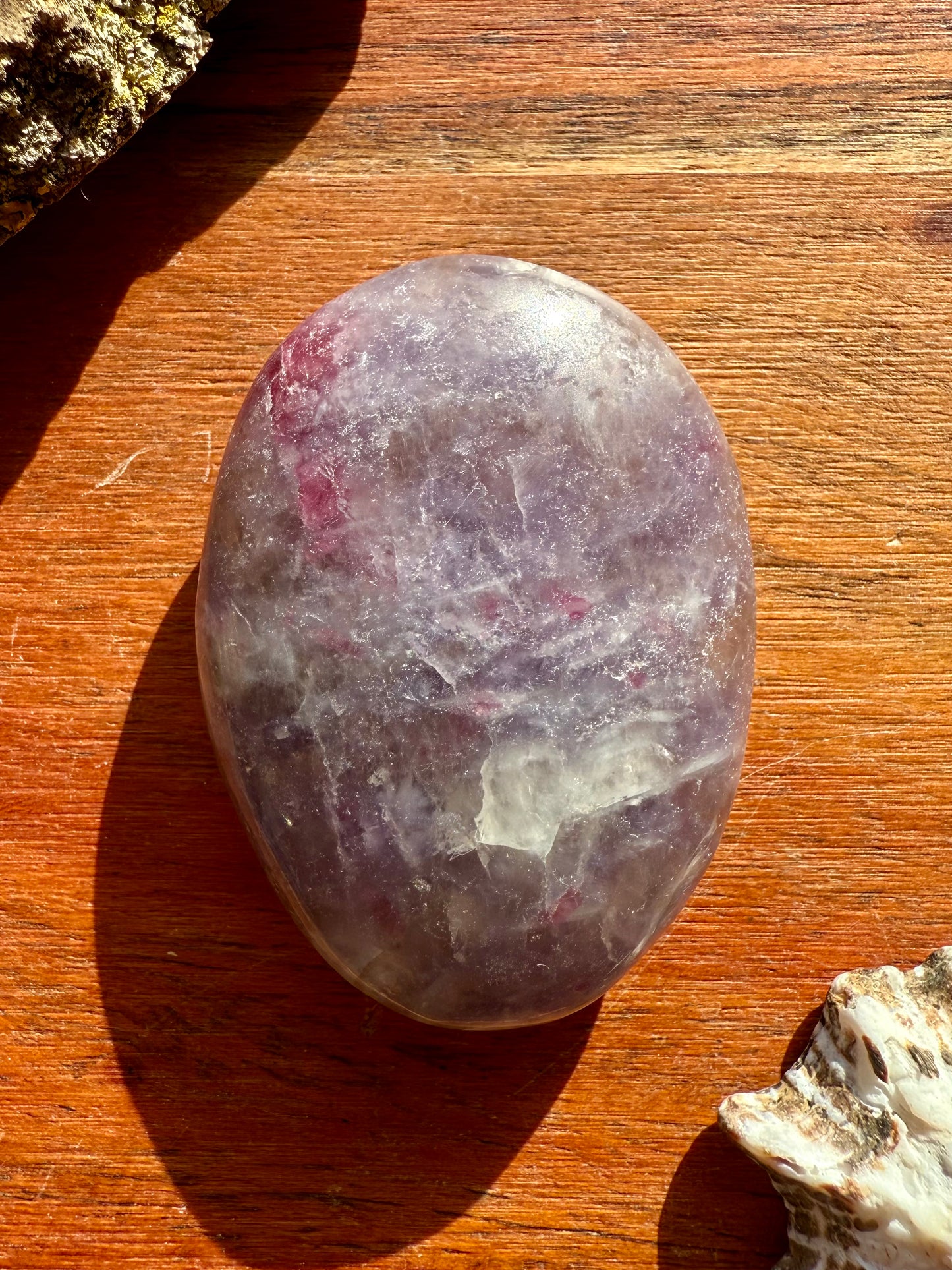 UNICORN STONE PALM STONE
