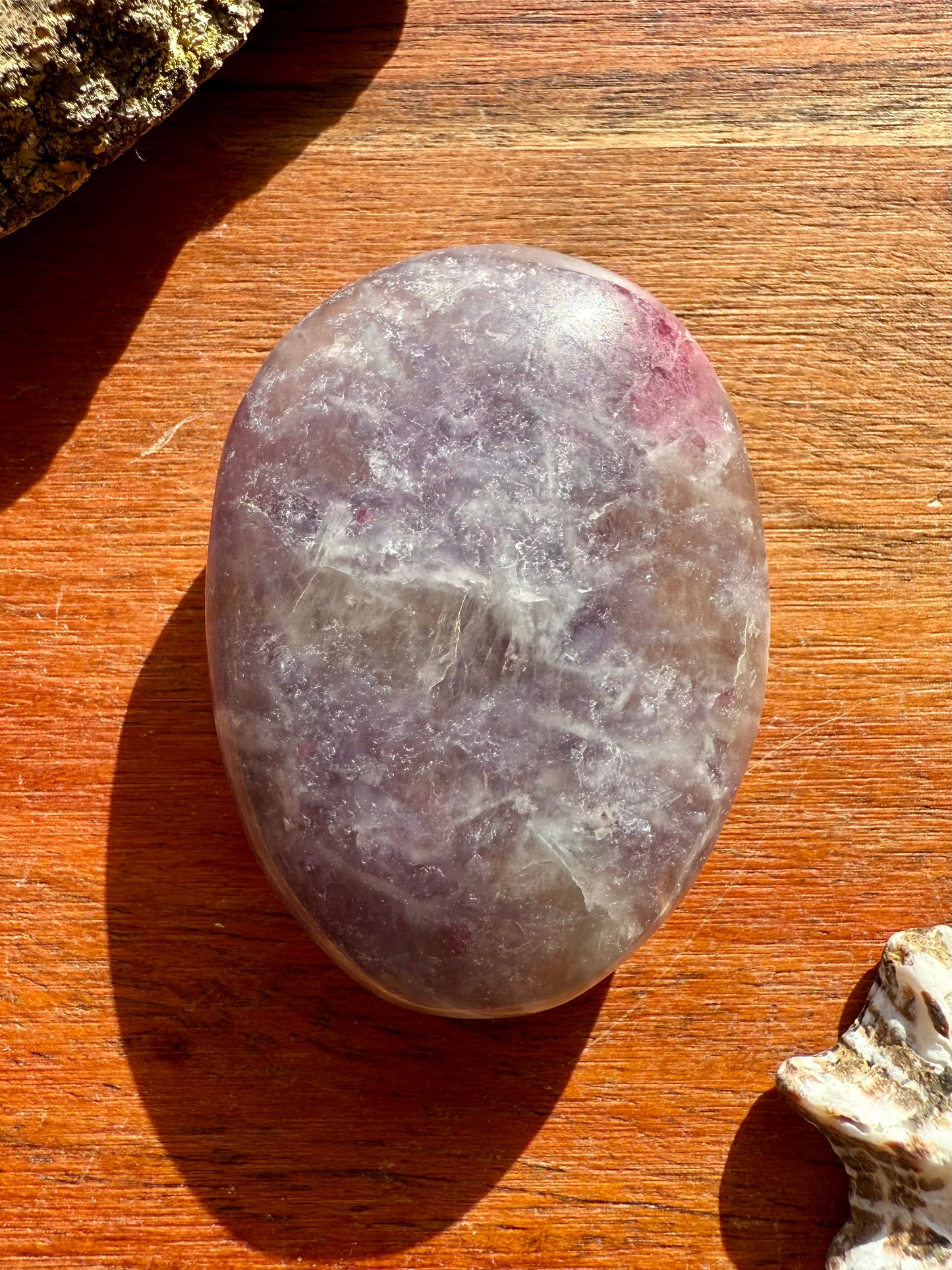 UNICORN STONE PALM STONE