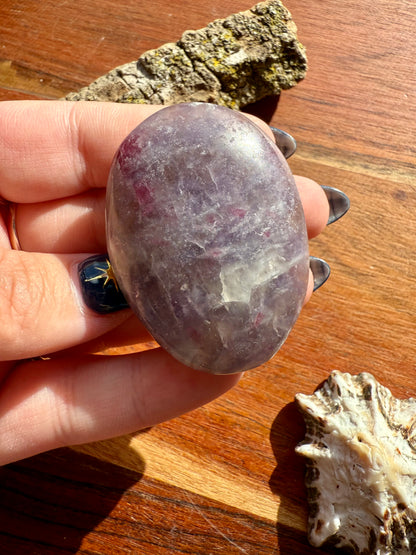 UNICORN STONE PALM STONE