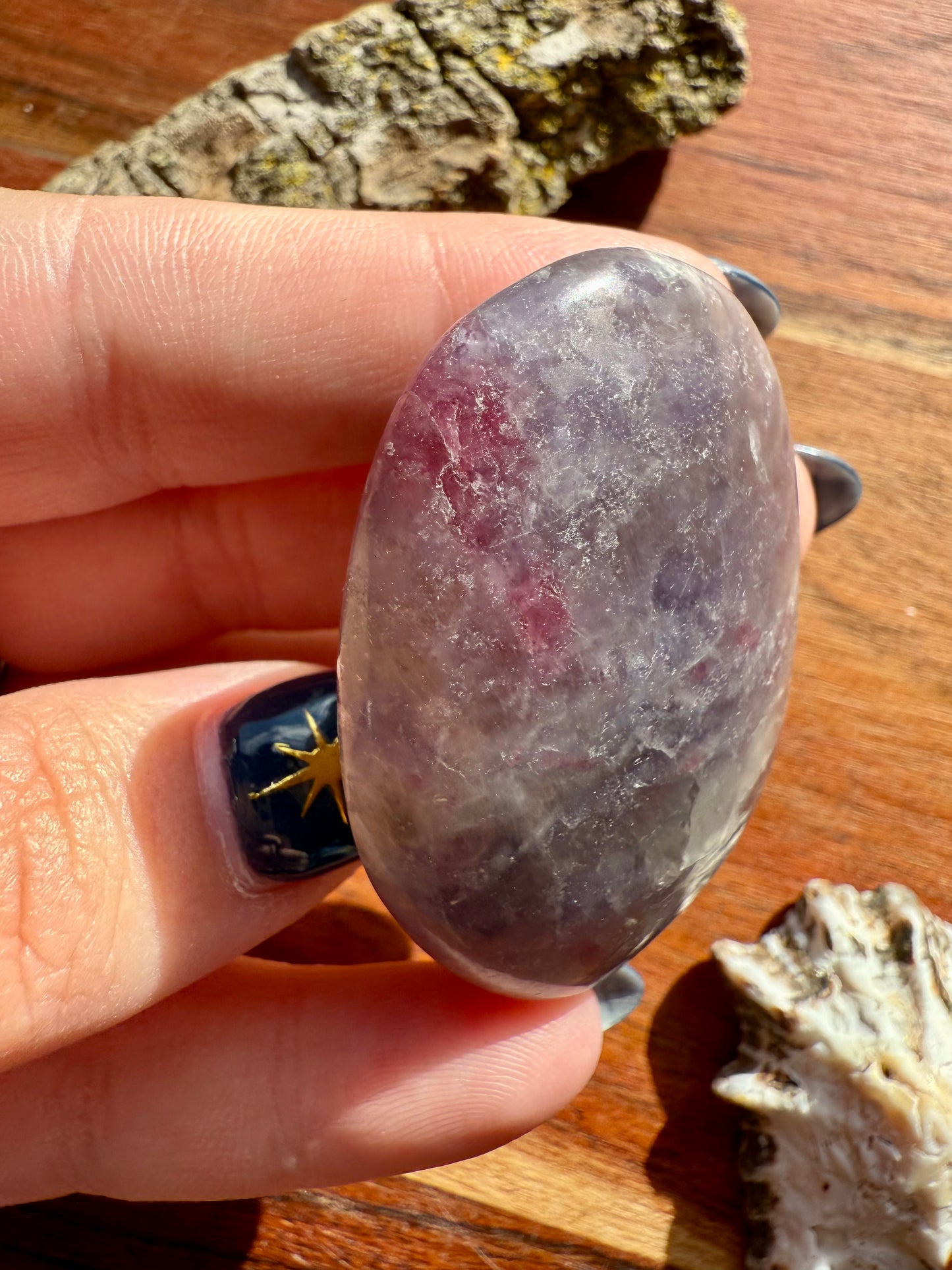 UNICORN STONE PALM STONE