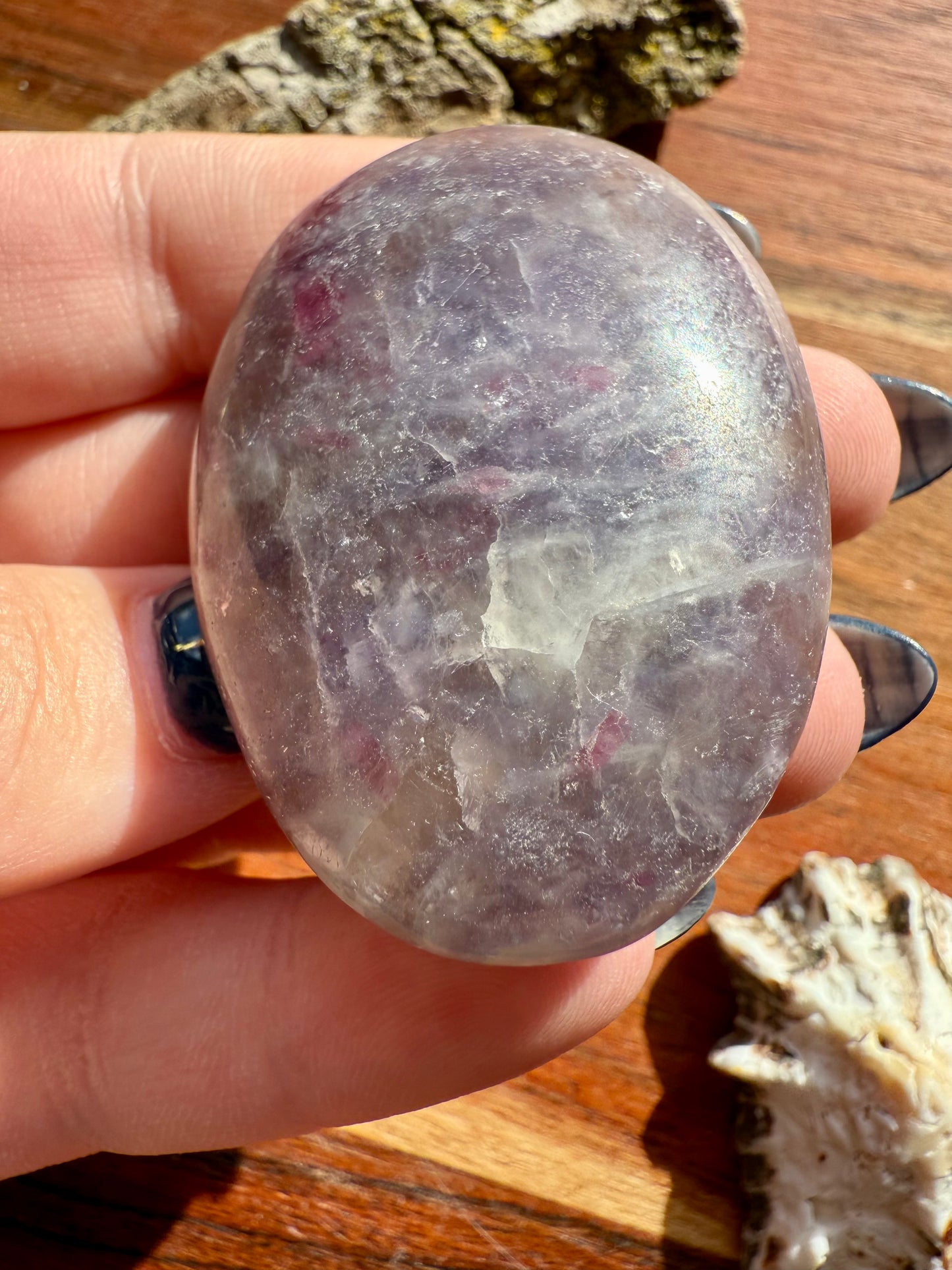 UNICORN STONE PALM STONE