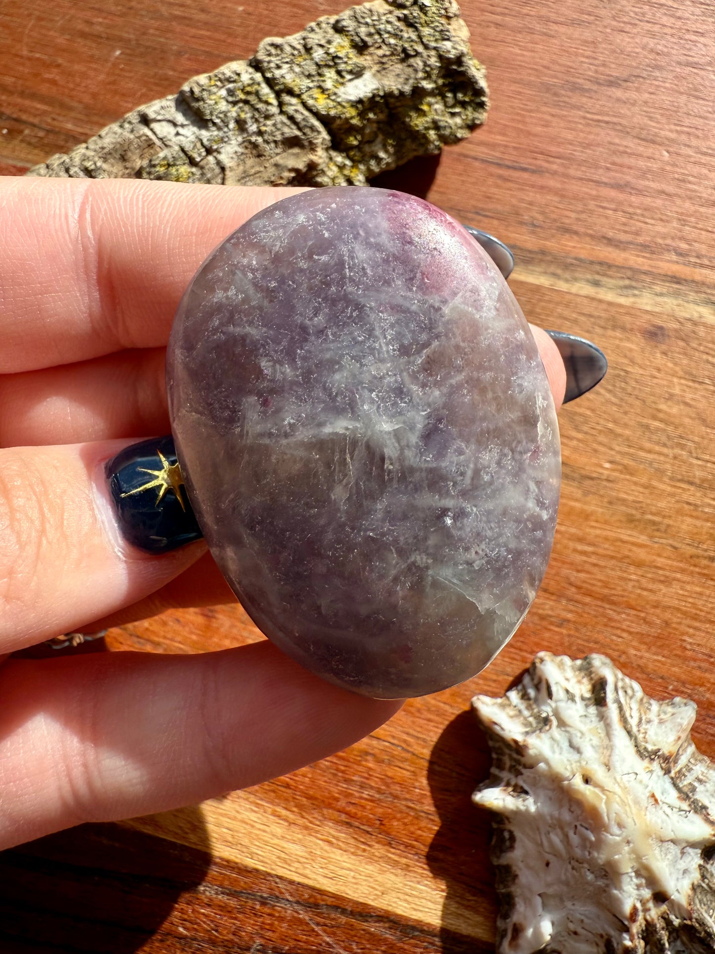 UNICORN STONE PALM STONE
