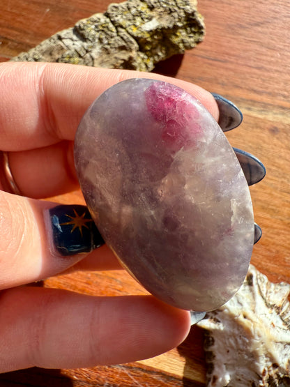 UNICORN STONE PALM STONE