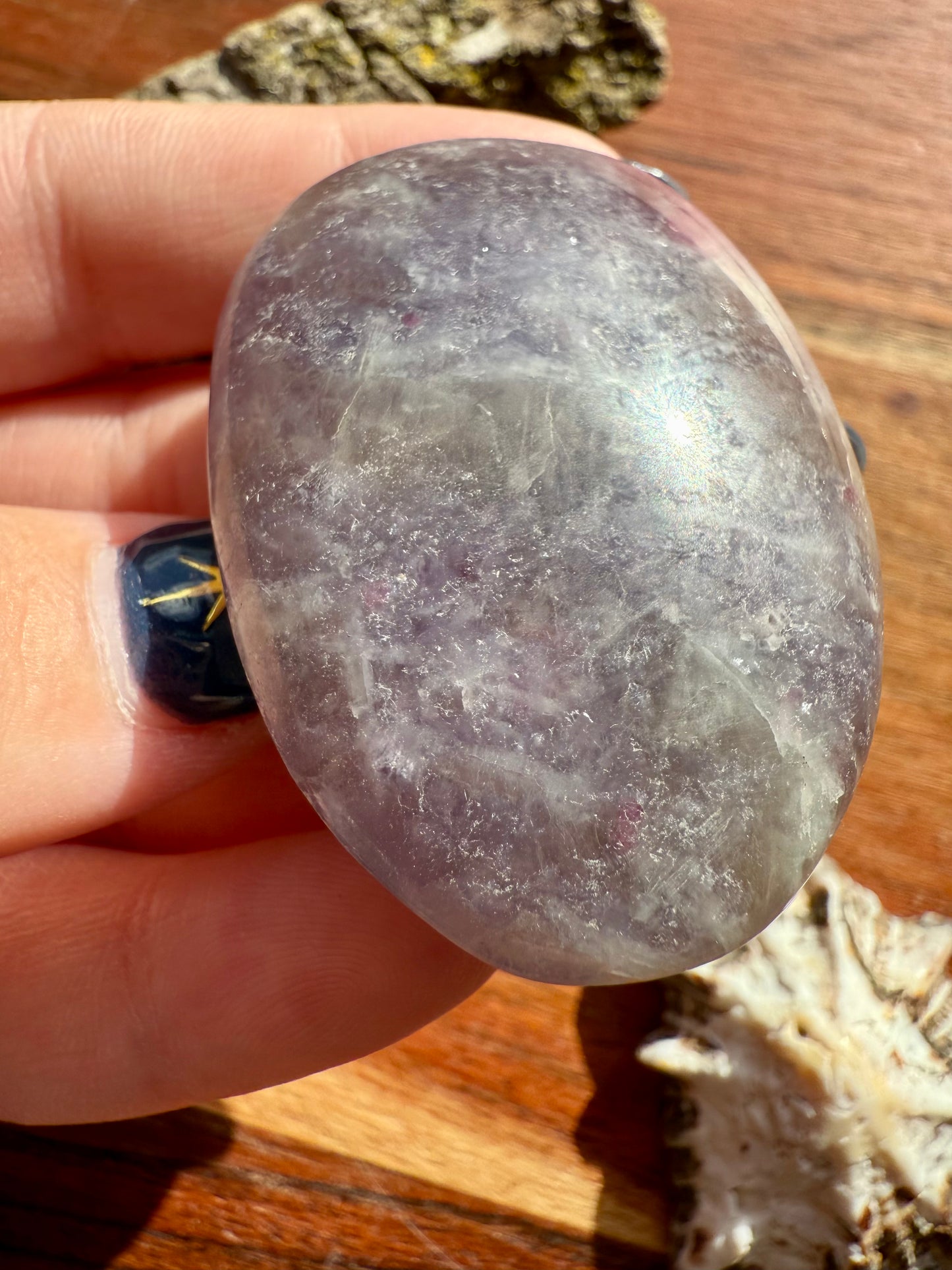 UNICORN STONE PALM STONE