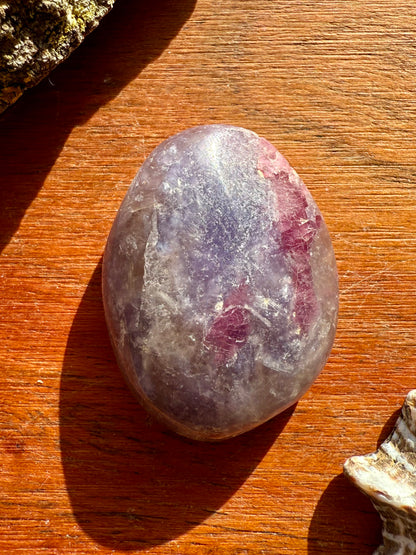 UNICORN STONE SMALL PALM STONE