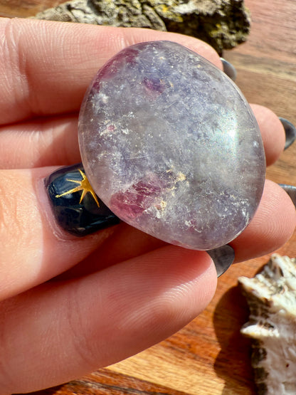 UNICORN STONE SMALL PALM STONE