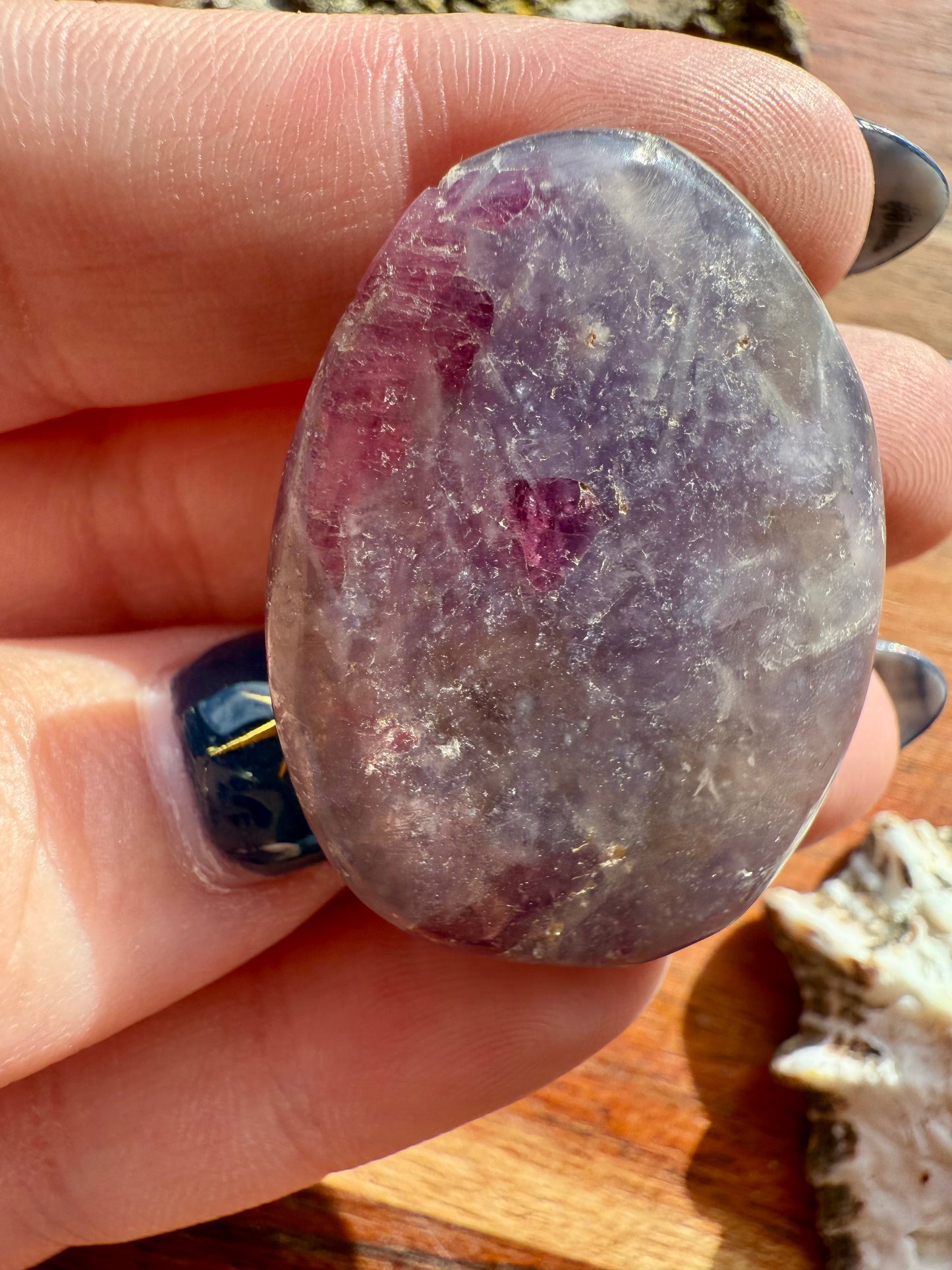 UNICORN STONE SMALL PALM STONE