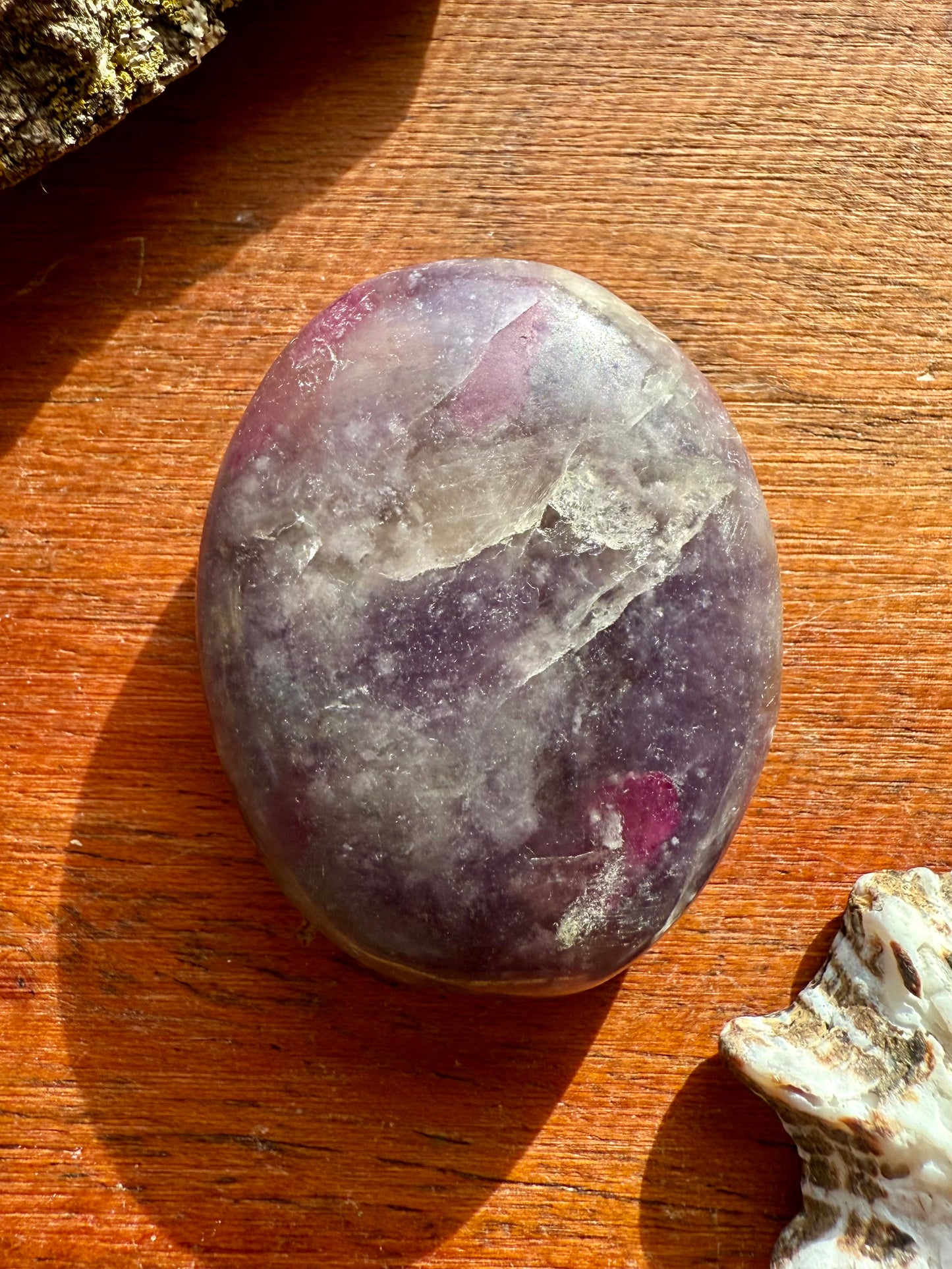 UNICORN STONE SMALL PALM STONE