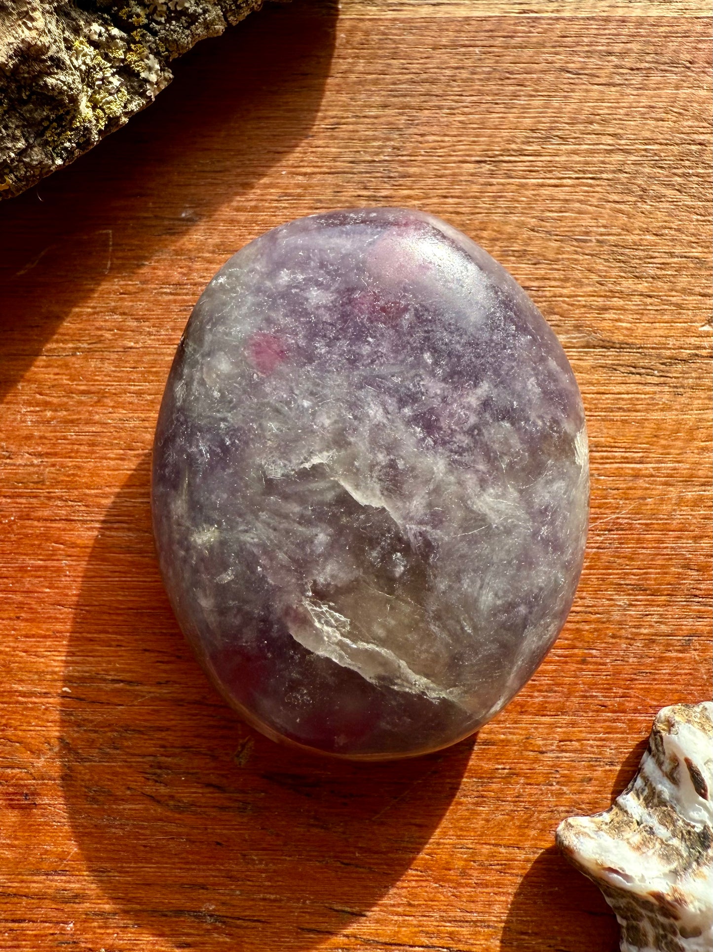 UNICORN STONE SMALL PALM STONE