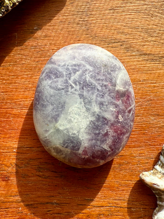 UNICORN STONE SMALL PALM STONE