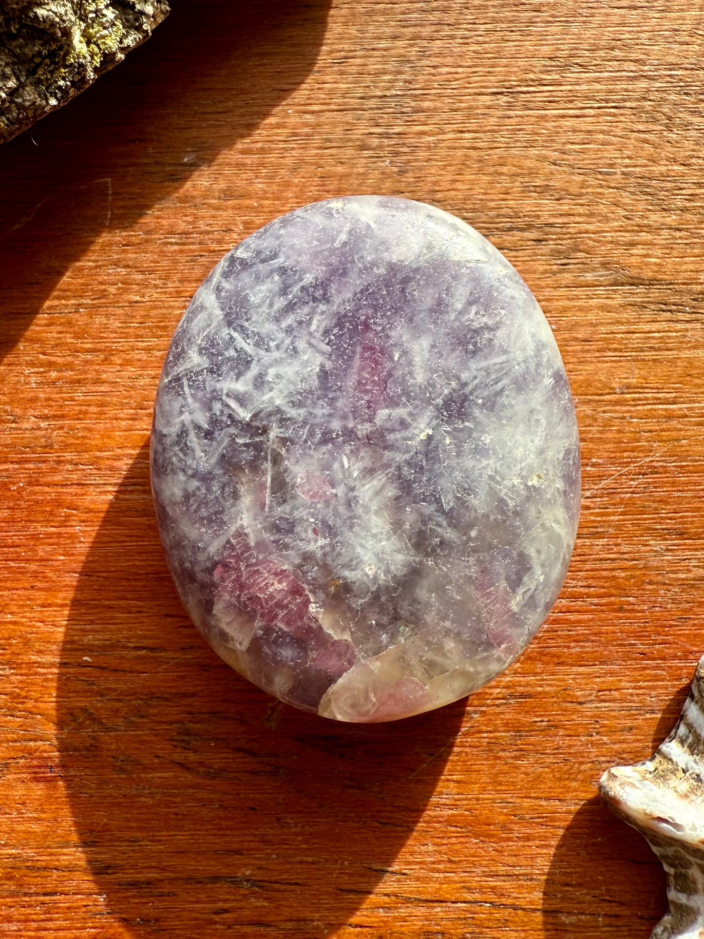 UNICORN STONE SMALL PALM STONE