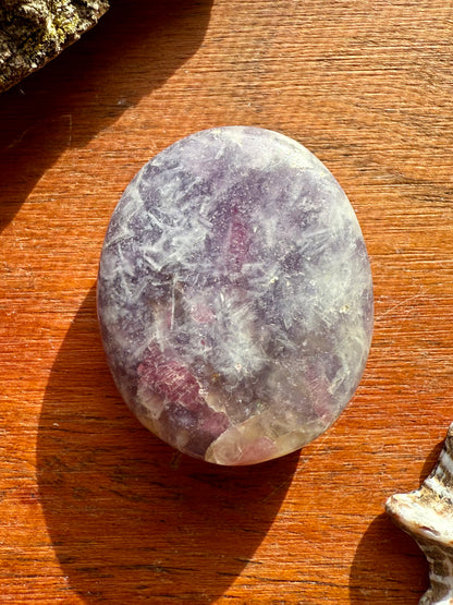 UNICORN STONE SMALL PALM STONE