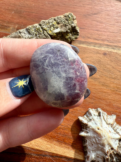 UNICORN STONE SMALL PALM STONE