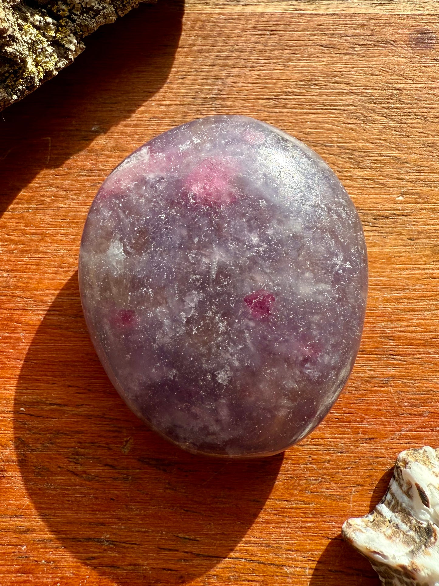 UNICORN STONE SMALL PALM STONE
