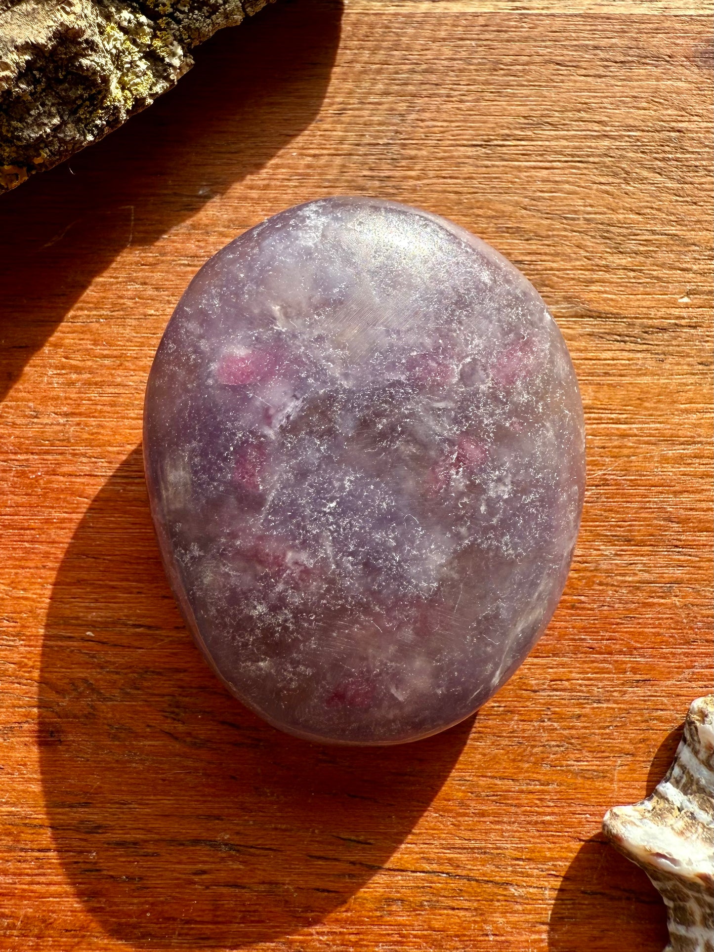 UNICORN STONE SMALL PALM STONE