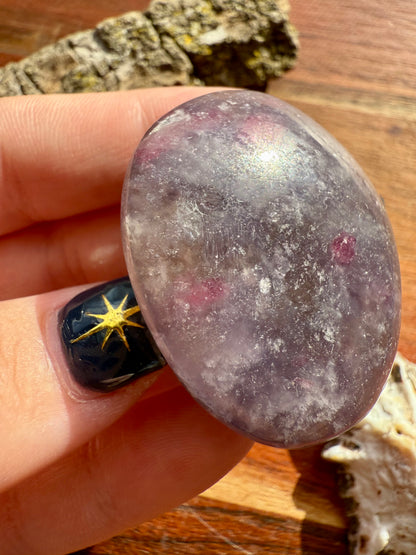 UNICORN STONE SMALL PALM STONE