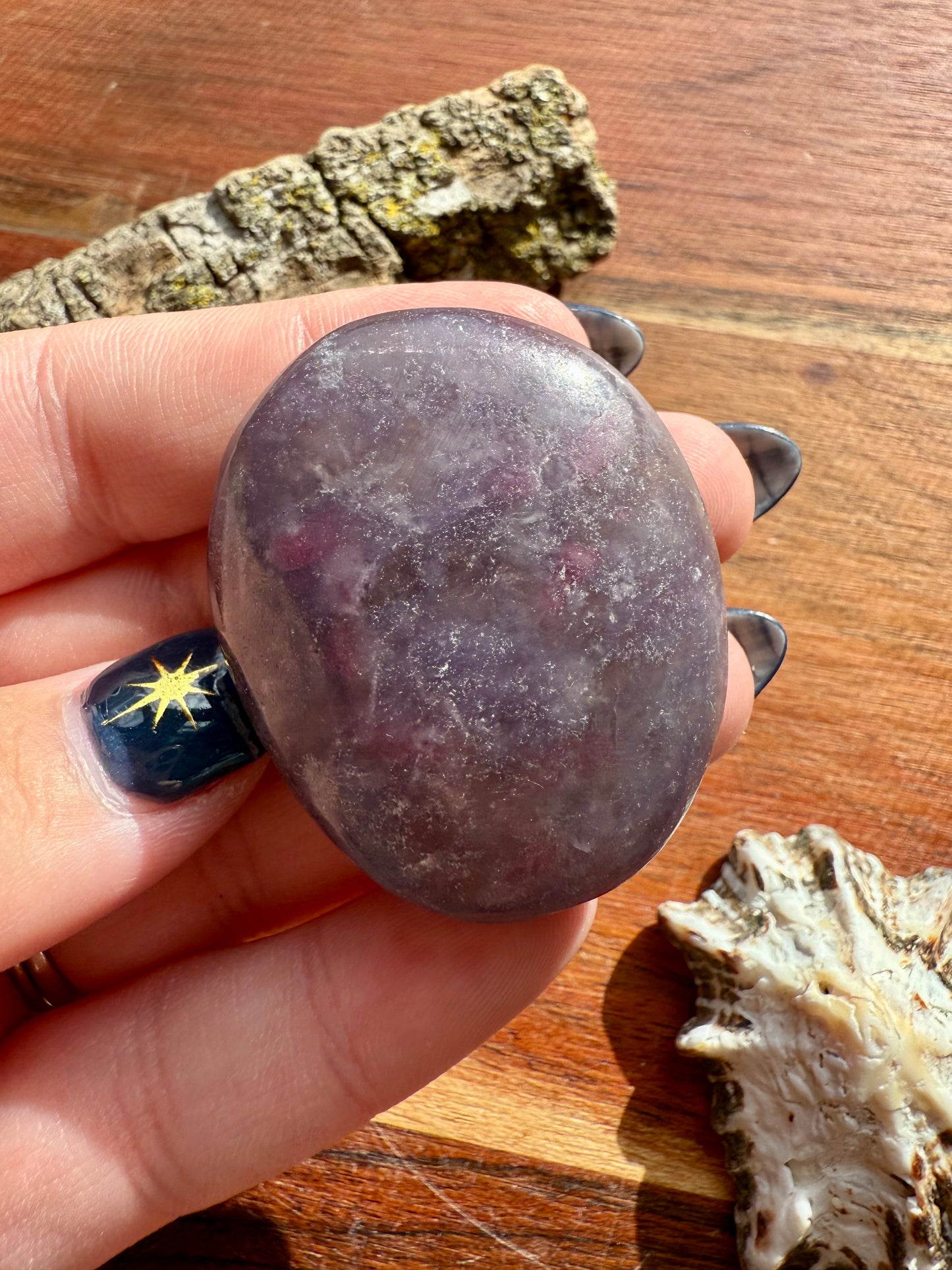 UNICORN STONE SMALL PALM STONE