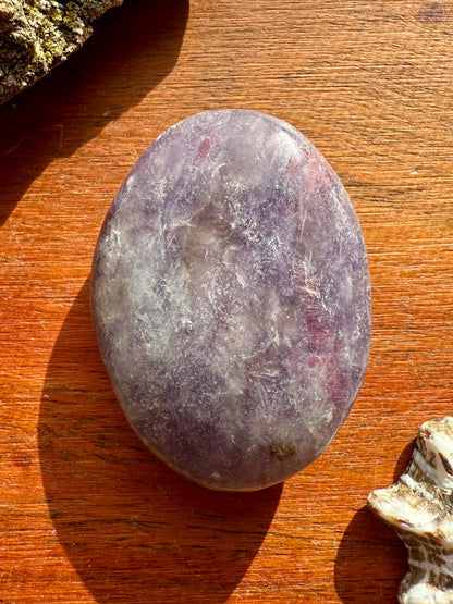 UNICORN STONE SMALL PALM STONE