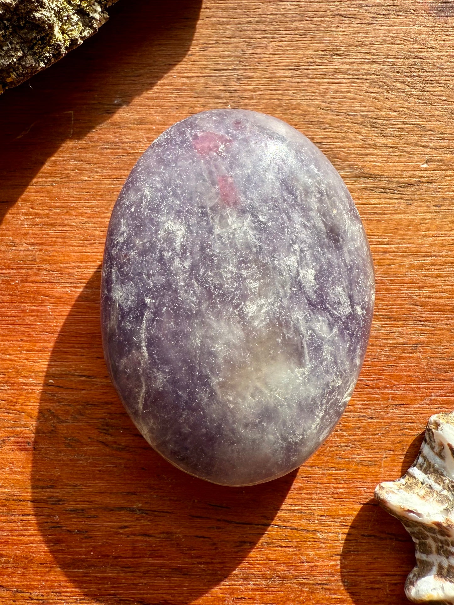 UNICORN STONE SMALL PALM STONE