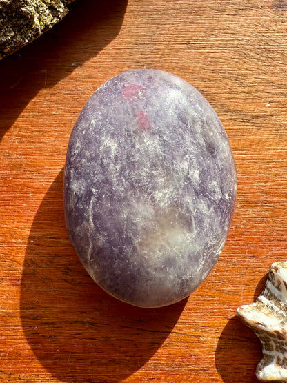 UNICORN STONE SMALL PALM STONE
