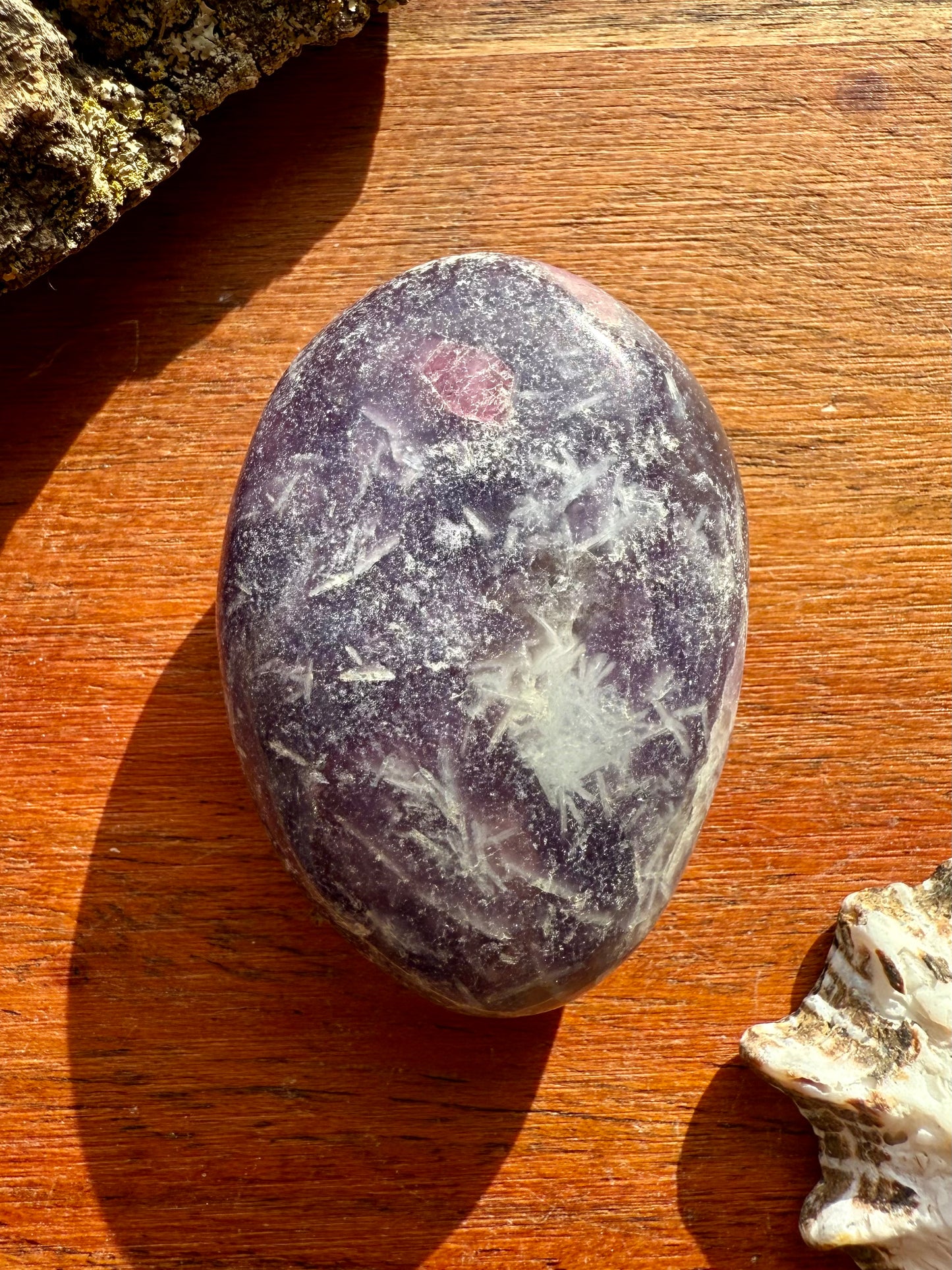 UNICORN STONE PALM STONE