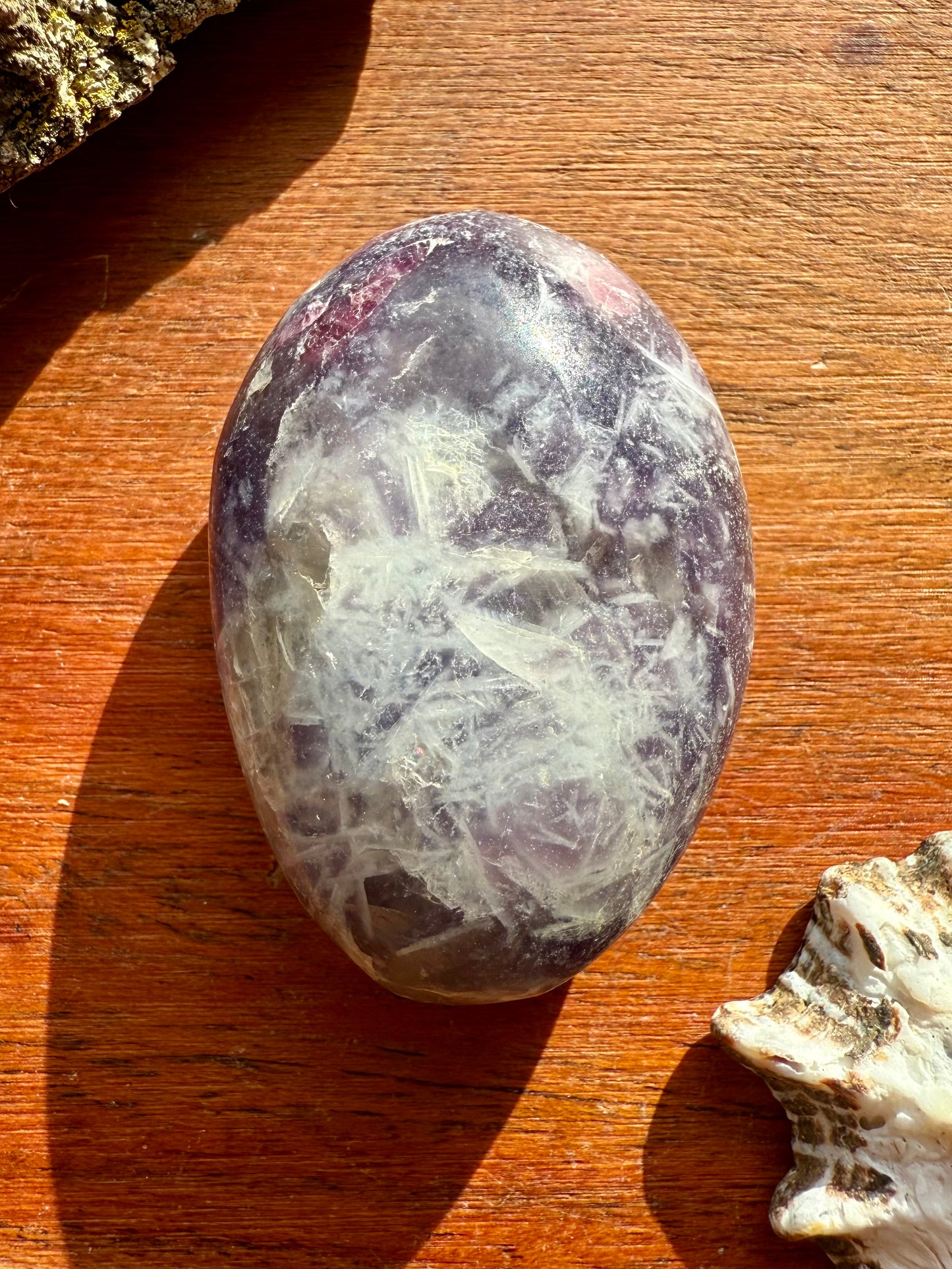 UNICORN STONE PALM STONE