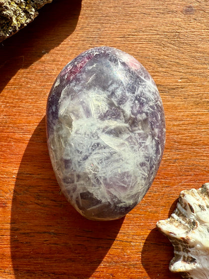 UNICORN STONE PALM STONE