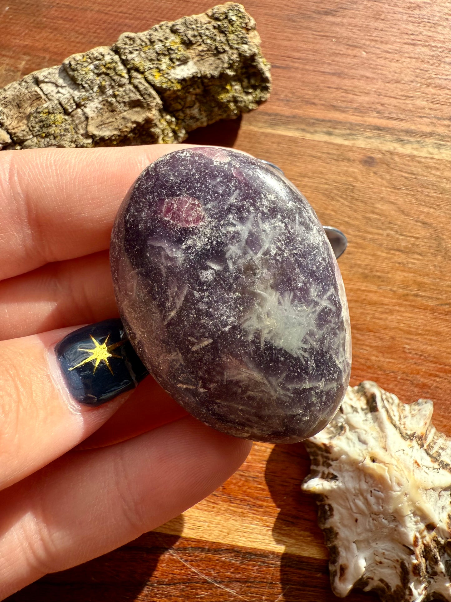 UNICORN STONE PALM STONE