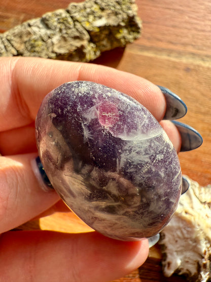 UNICORN STONE PALM STONE
