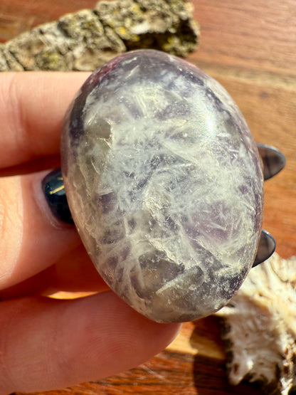 UNICORN STONE PALM STONE