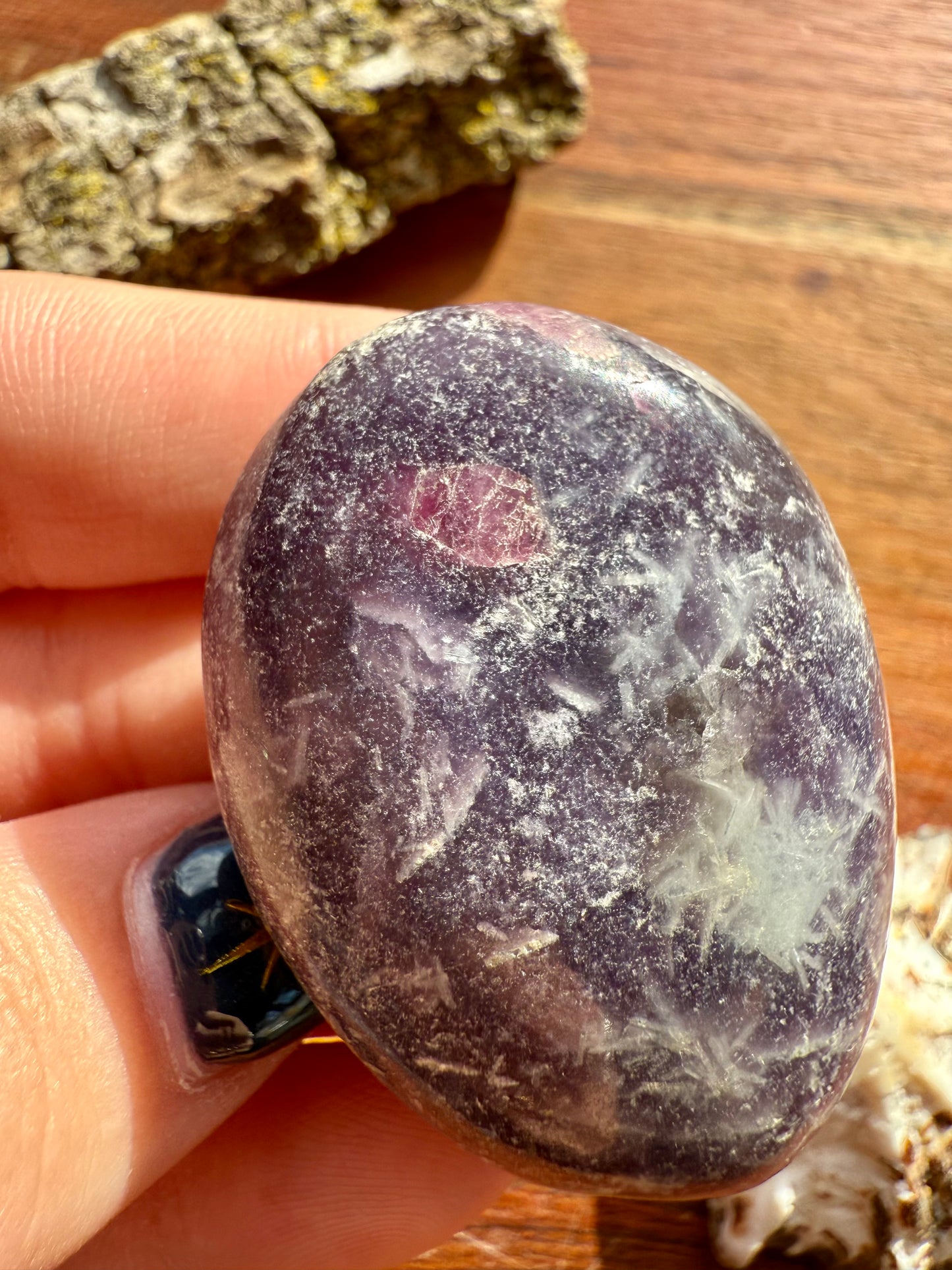 UNICORN STONE PALM STONE