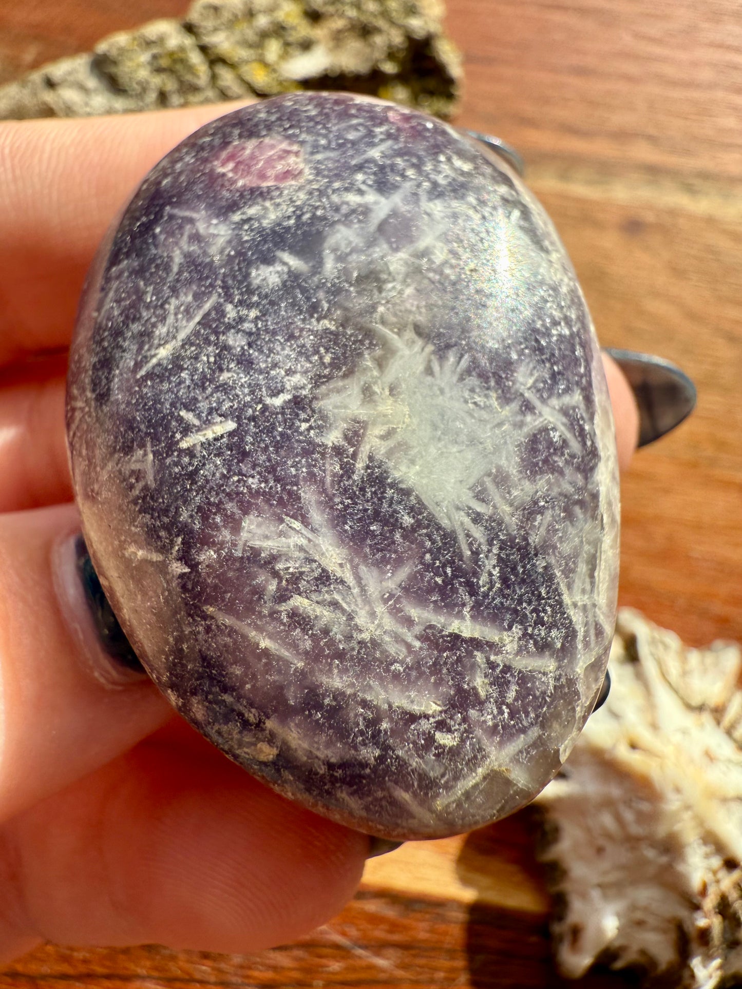 UNICORN STONE PALM STONE