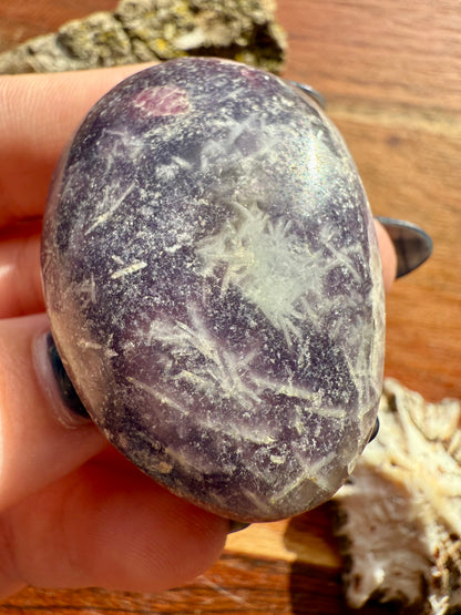 UNICORN STONE PALM STONE
