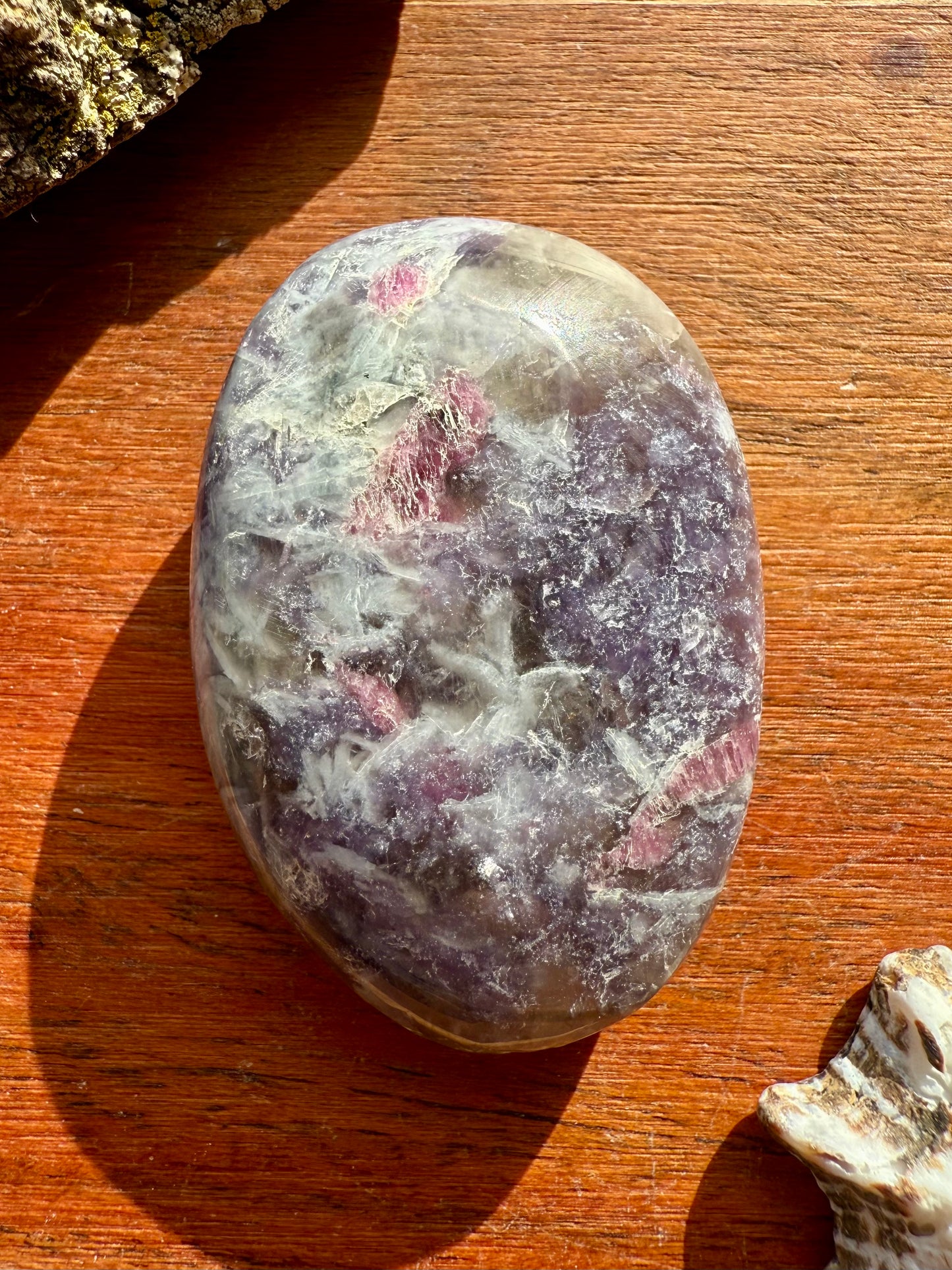UNICORN STONE PALM STONE