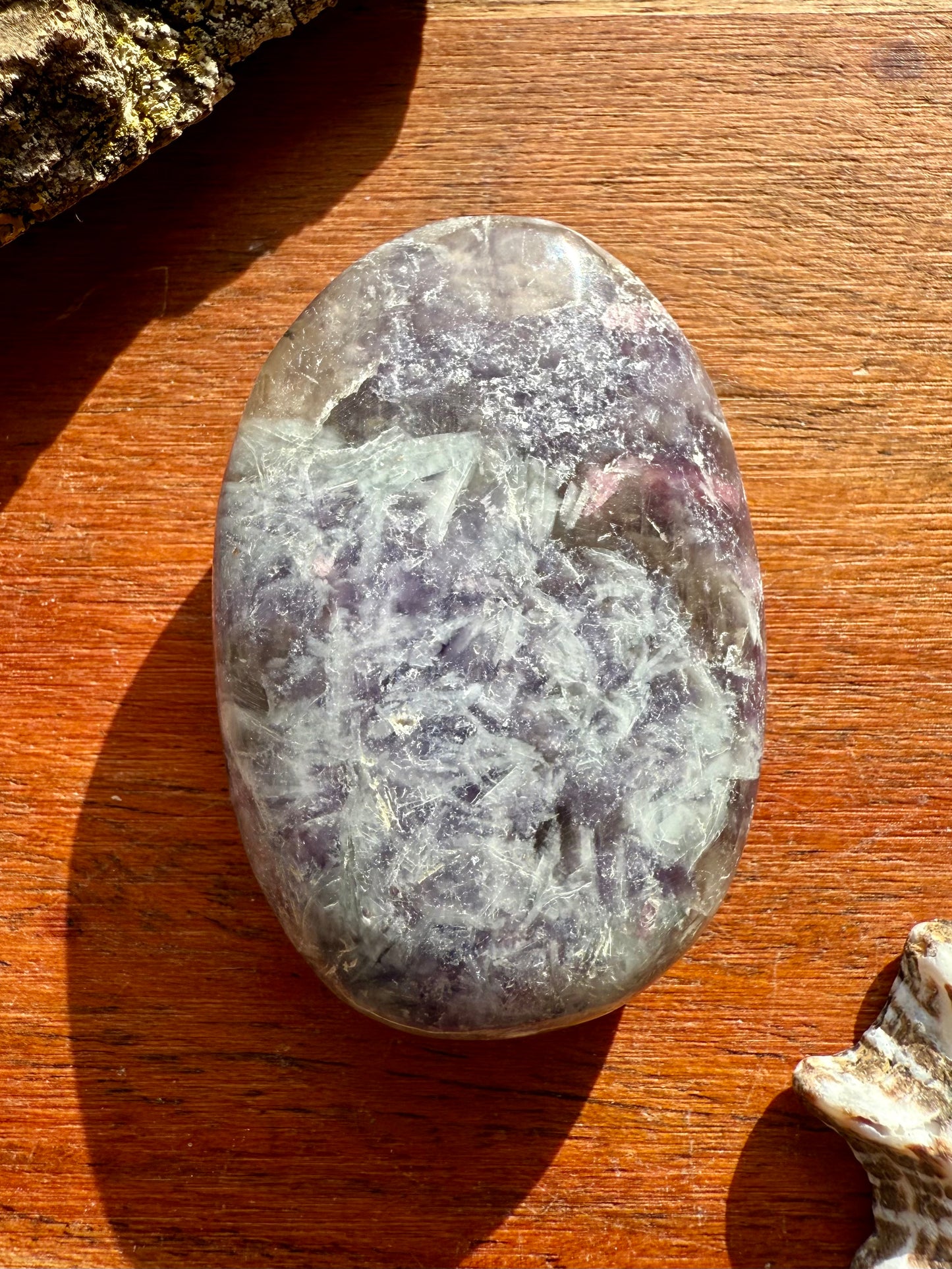 UNICORN STONE PALM STONE