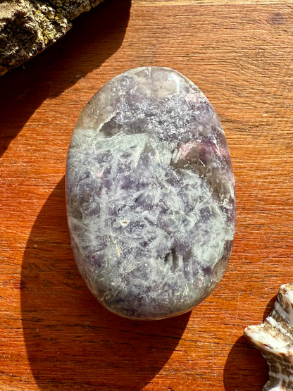 UNICORN STONE PALM STONE