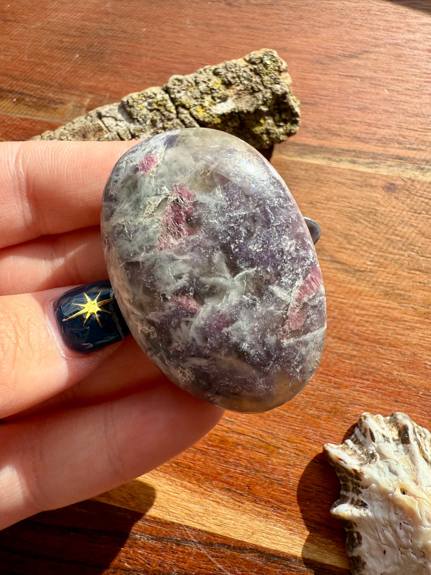 UNICORN STONE PALM STONE