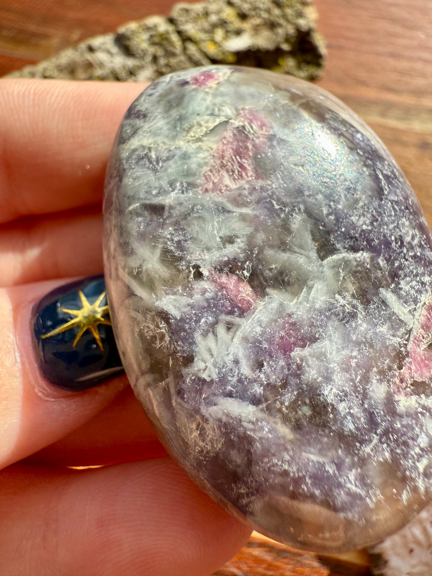 UNICORN STONE PALM STONE