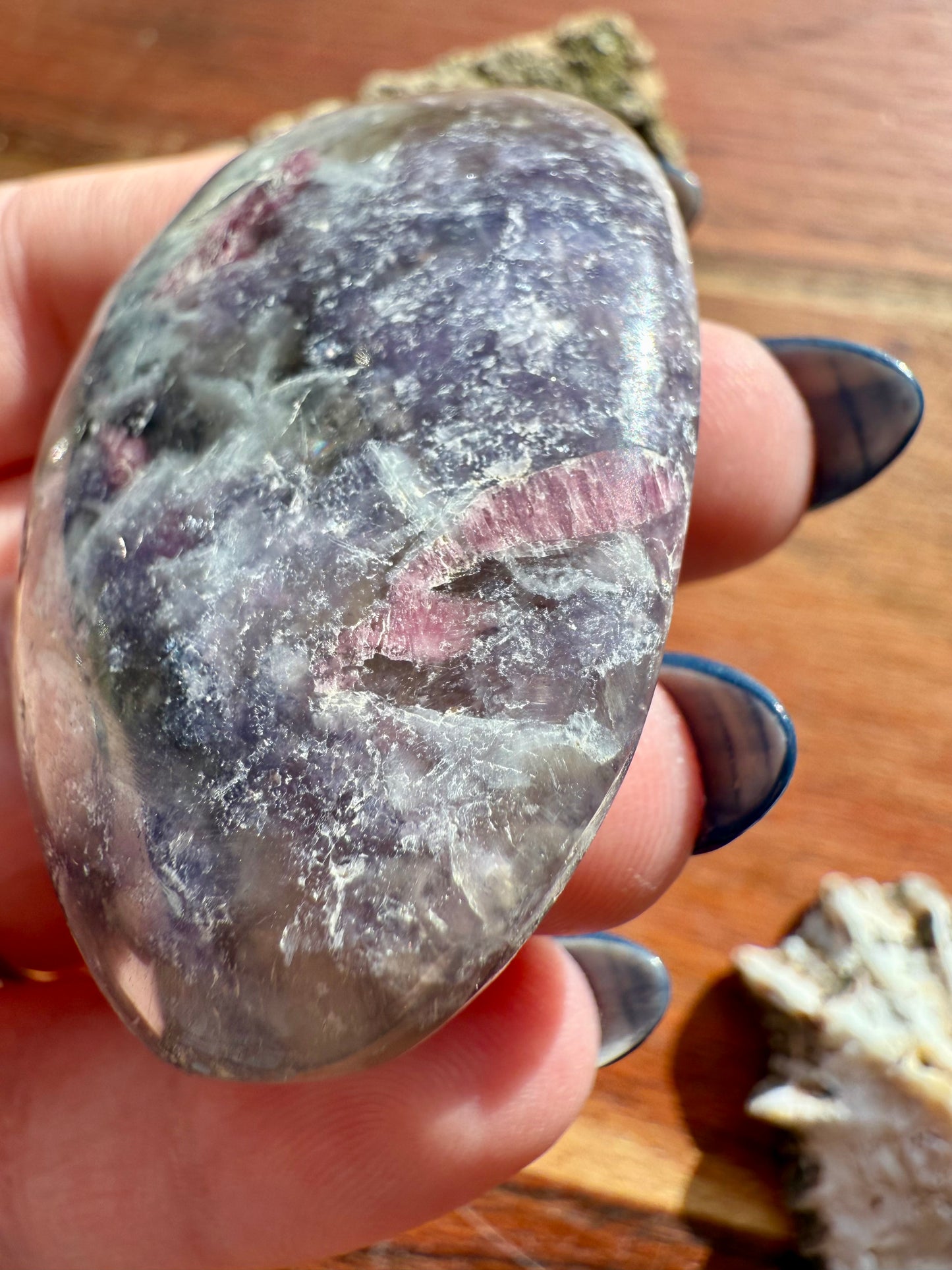 UNICORN STONE PALM STONE