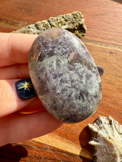 UNICORN STONE PALM STONE