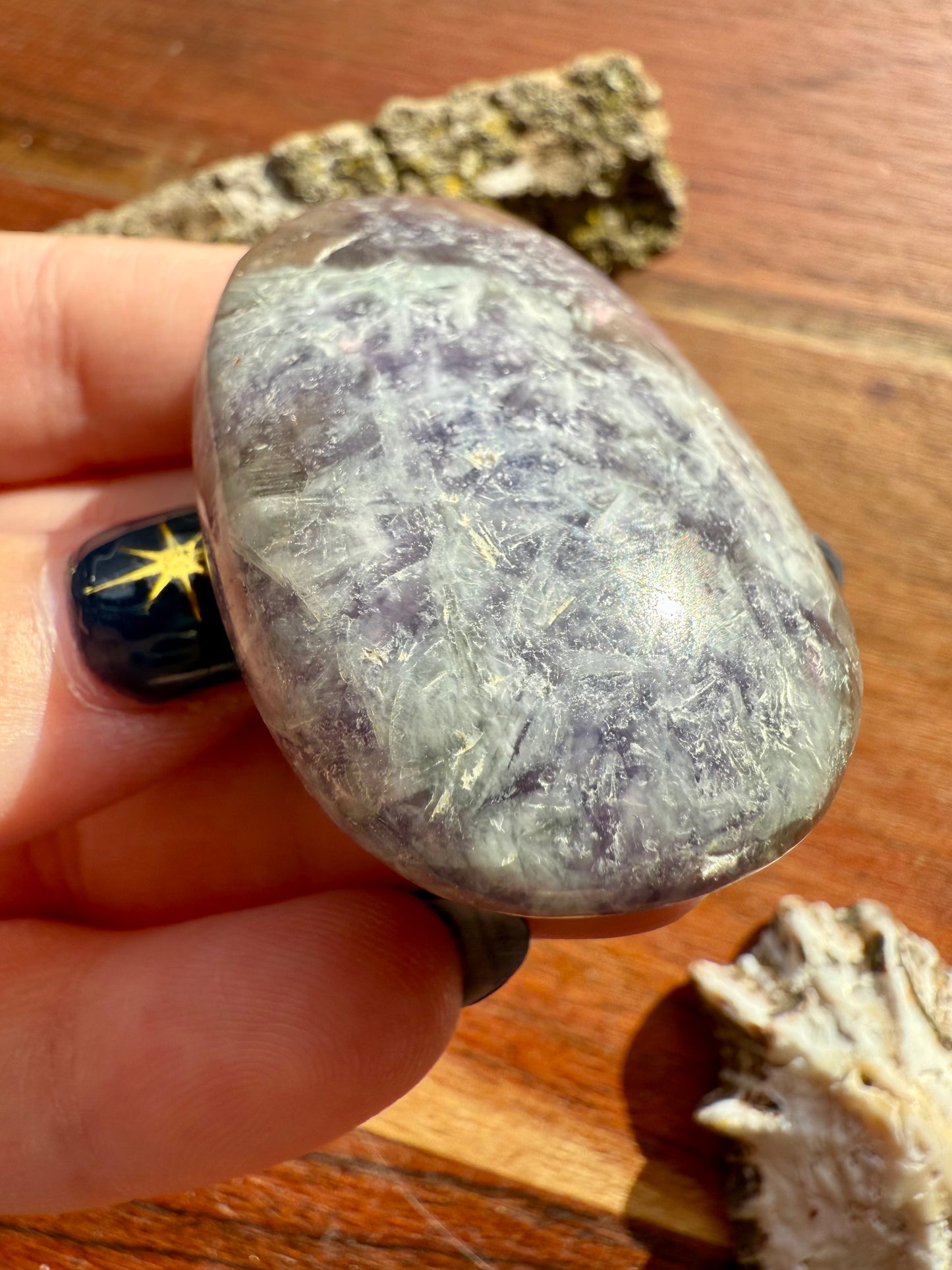 UNICORN STONE PALM STONE
