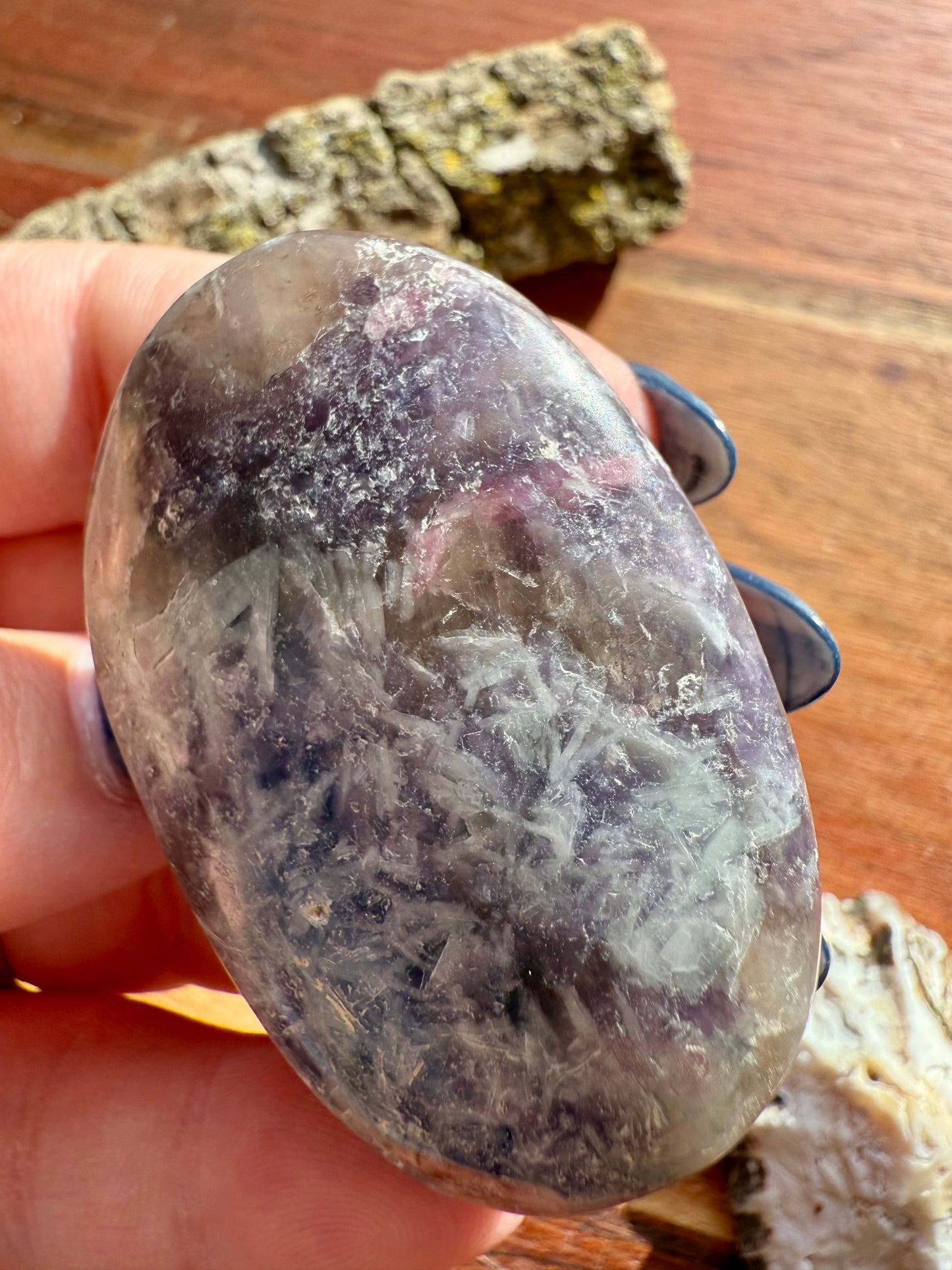 UNICORN STONE PALM STONE