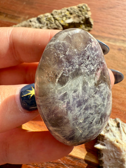UNICORN STONE PALM STONE